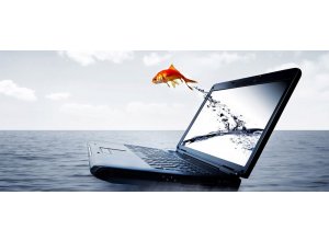 Ремонт ноутбука после залития